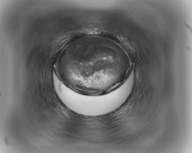 X0000096421444200801241307