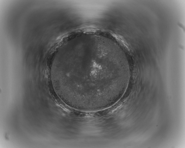 X0000096421445200801241307