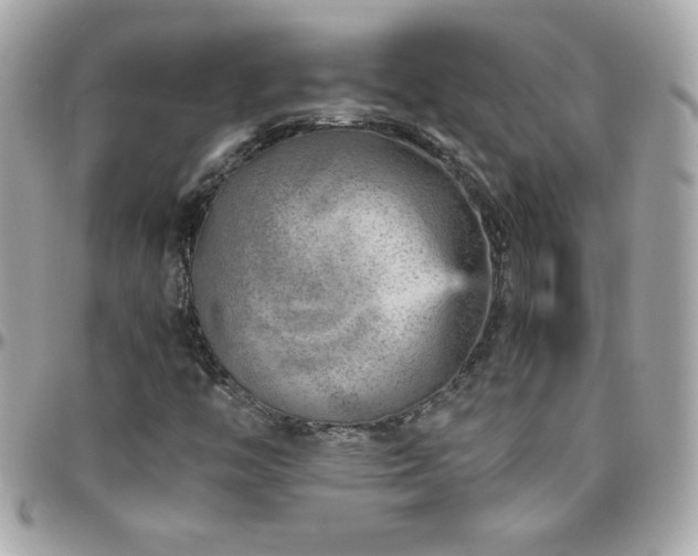 X0000096421446200801241307