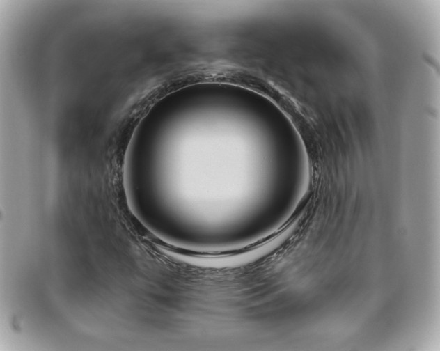 X0000096421447200801241307