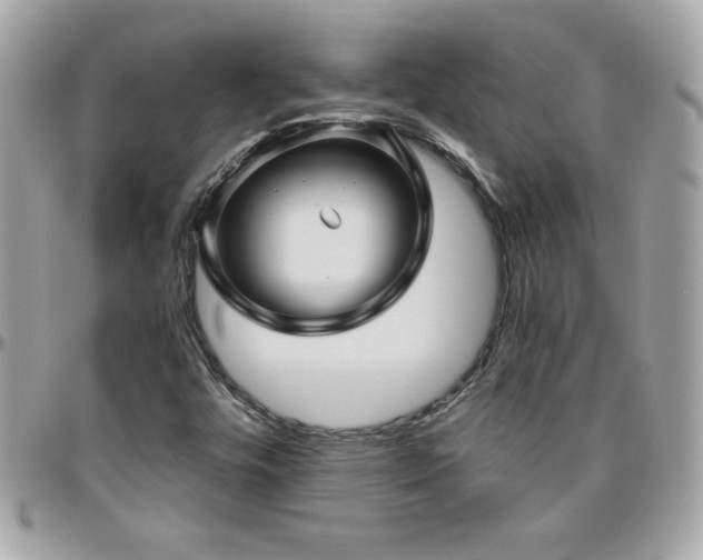 X0000096421448200801241307