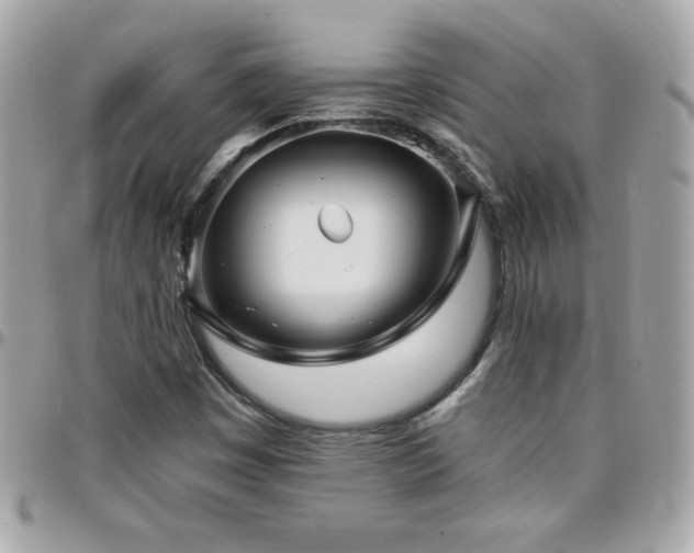 X0000096421449200801241307
