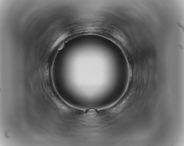 X0000096421450200801241307