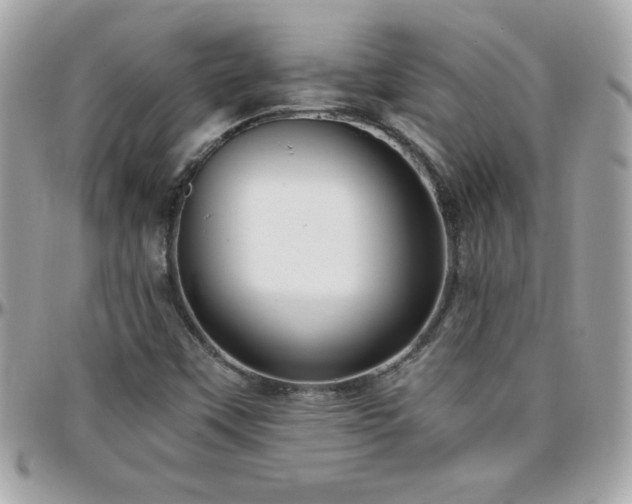 X0000096421451200801241307