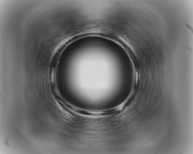 X0000096421452200801241307