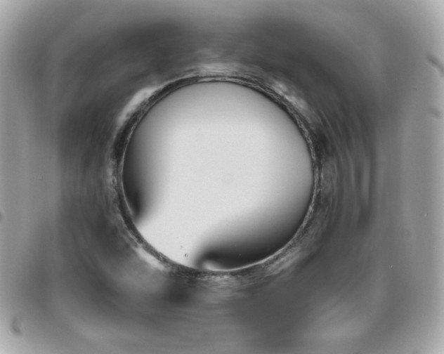 X0000096421454200801241307