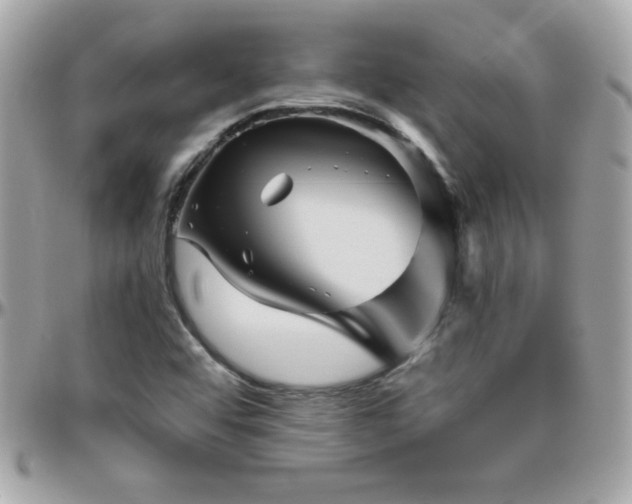 X0000096421456200801241307