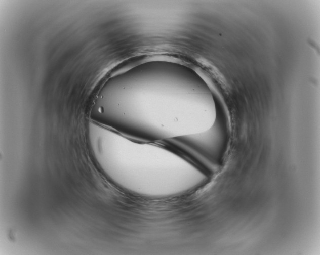 X0000096421457200801241307