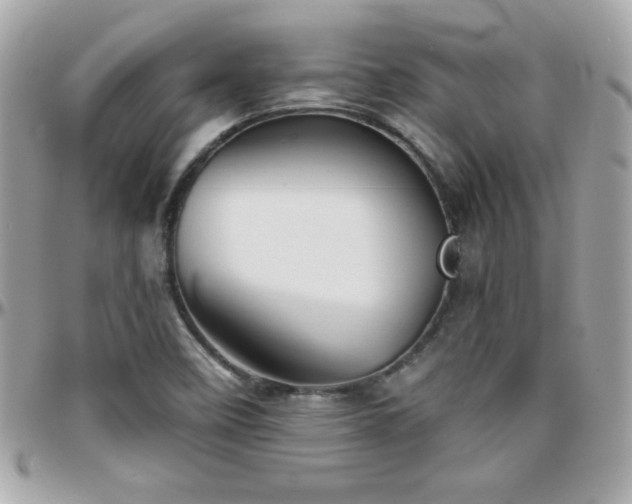 X0000096421458200801241307