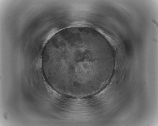 X0000096421459200801241306