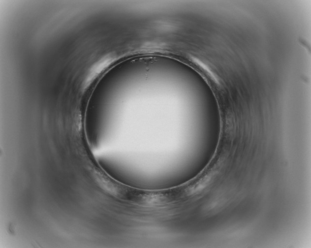 X0000096421461200801241306