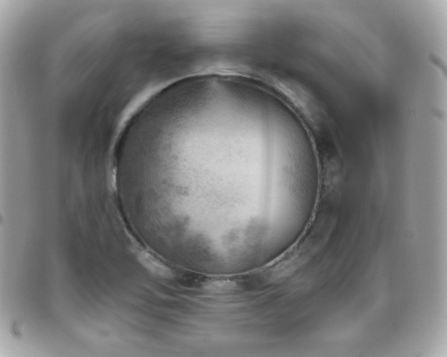 X0000096421462200801241306