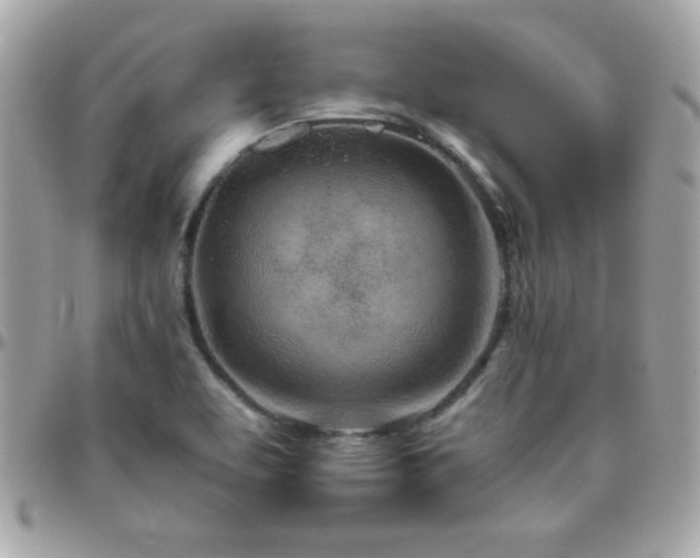 X0000096421463200801241306