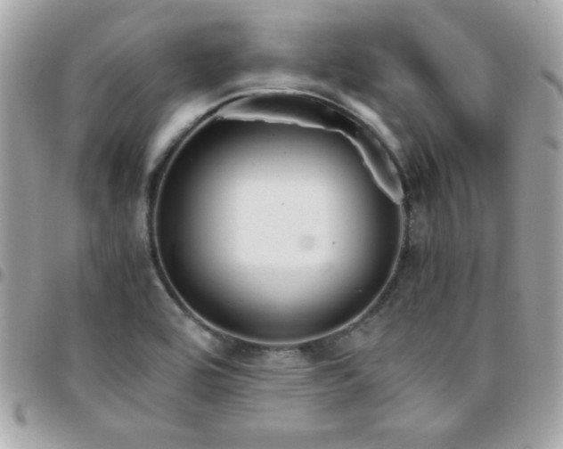 X0000096421464200801241306