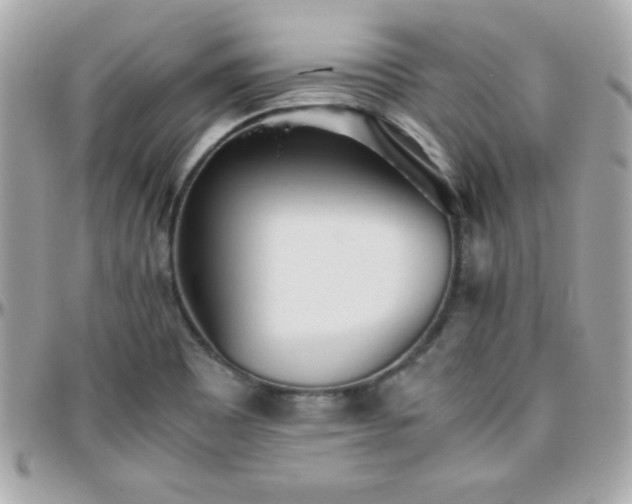 X0000096421465200801241306