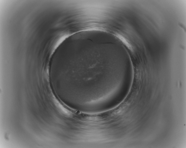 X0000096421468200801241306