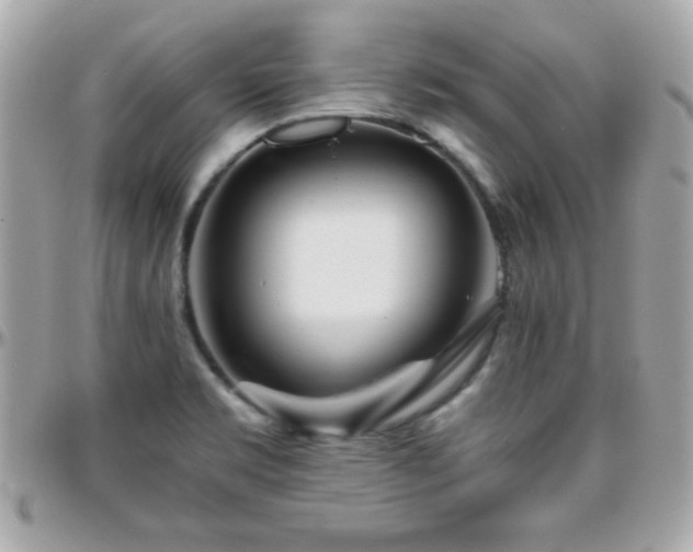 X0000096421469200801241306