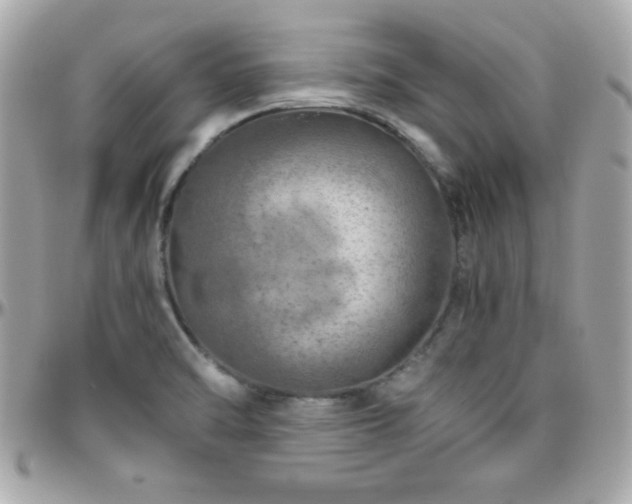 X0000096421470200801241306