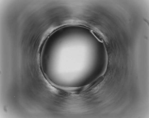 X0000096421472200801241306