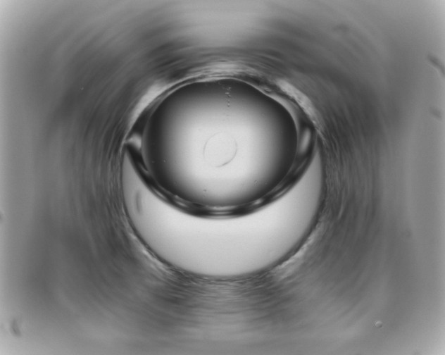 X0000096421473200801241306