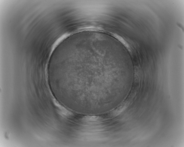 X0000096421474200801241306