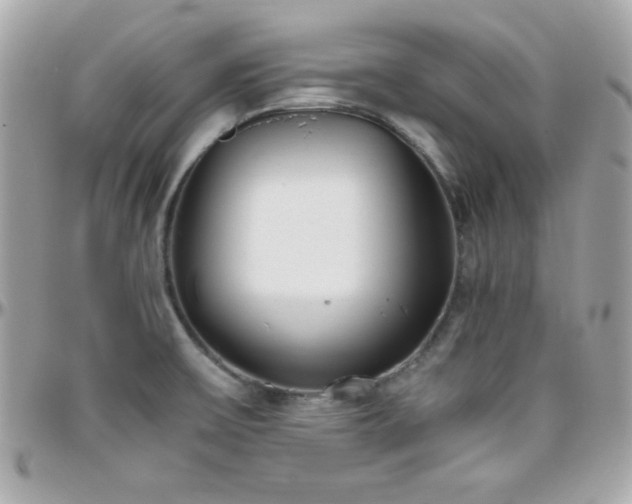 X0000096421475200801241306