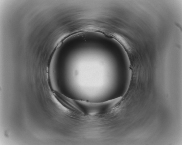X0000096421476200801241306