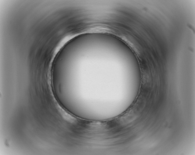 X0000096421478200801241306