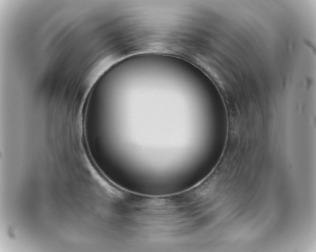 X0000096421479200801241306