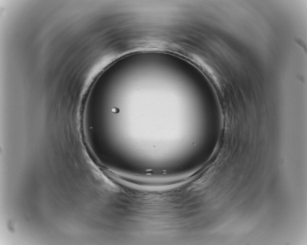 X0000096421480200801241306