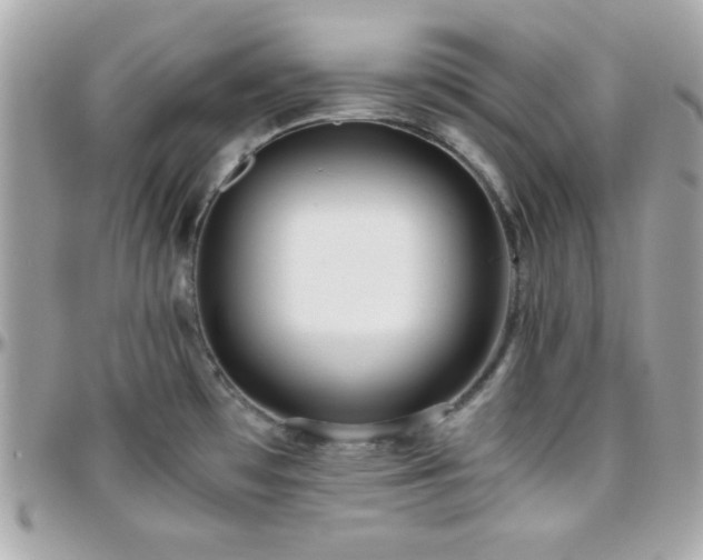 X0000096421481200801241306
