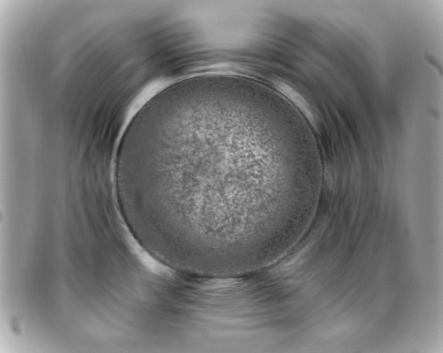 X0000096421482200801241306