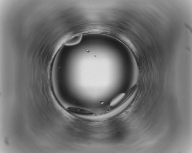 X0000096421483200801241306