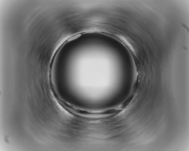 X0000096421484200801241306