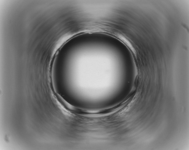 X0000096421485200801241306