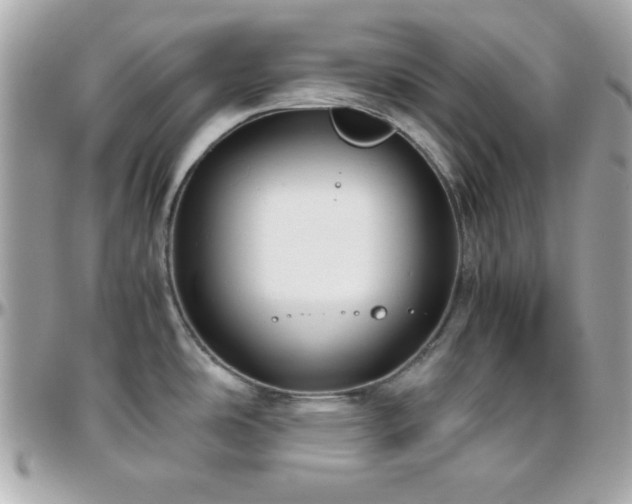 X0000096421486200801241306