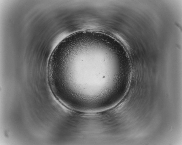 X0000096421487200801241306