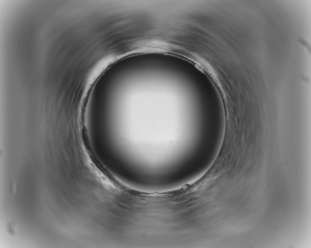 X0000096421488200801241306