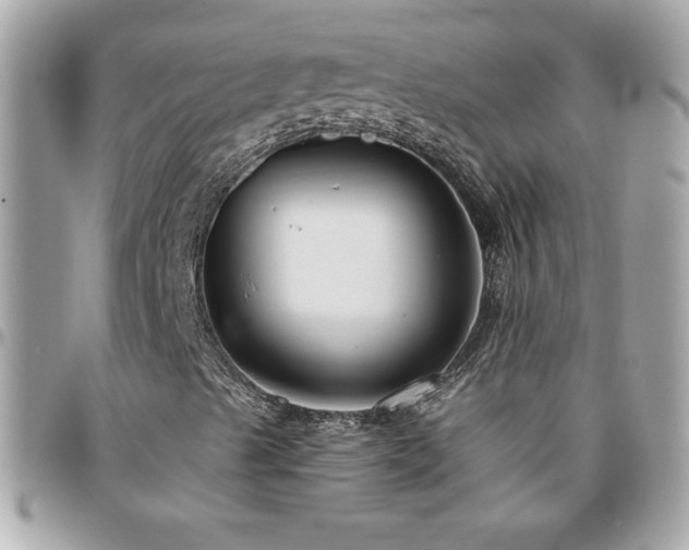 X0000096421489200801241305