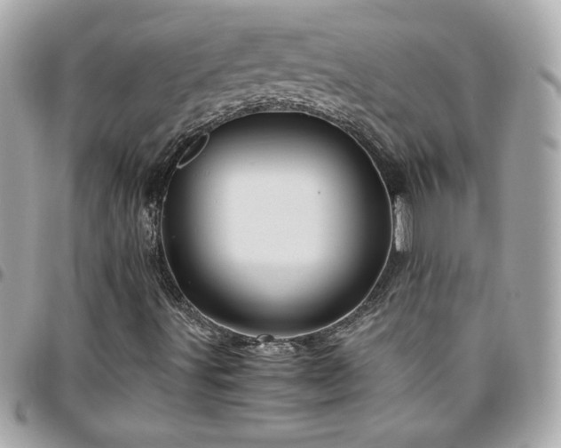X0000096421491200801241305