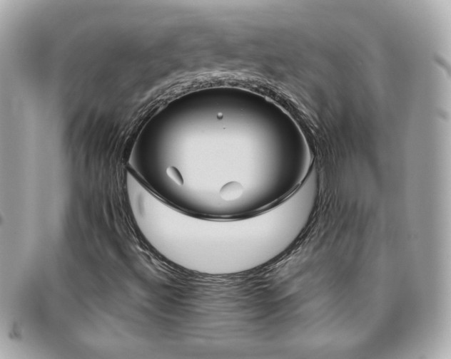 X0000096421492200801241305