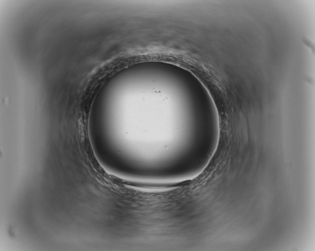 X0000096421493200801241306