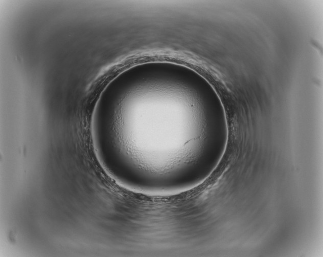 X0000096421494200801241306