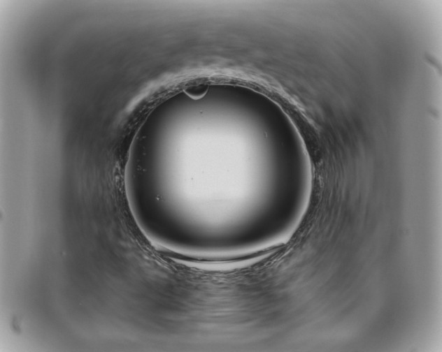 X0000096421495200801241306