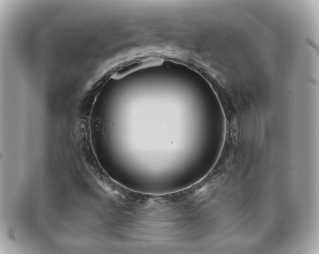 X0000096421496200801241306