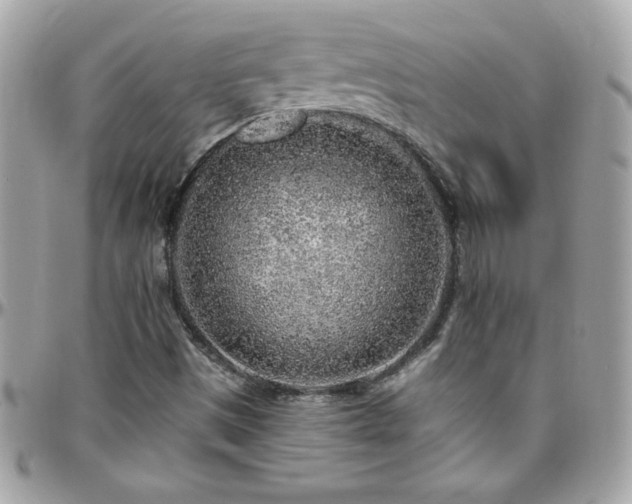 X0000096421497200801241306
