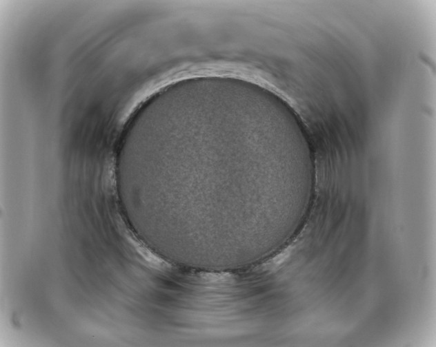 X0000096421498200801241306