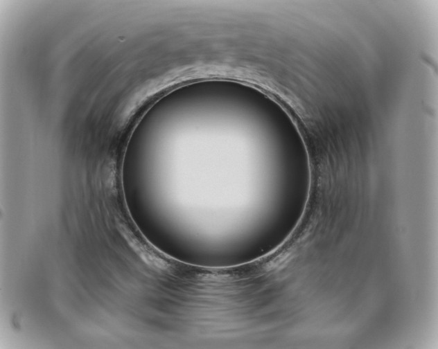 X0000096421499200801241306