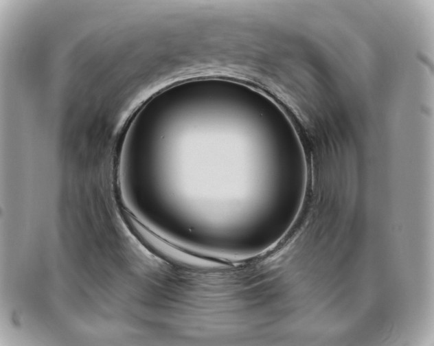 X0000096421500200801241306