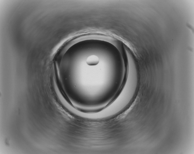 X0000096421502200801241306